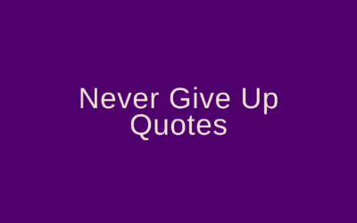 Never Give Up Quotes